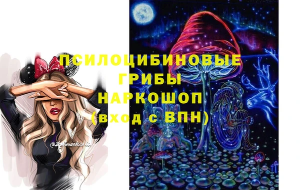 бошки Переславль-Залесский