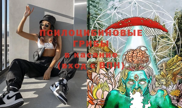 амф Алексеевка