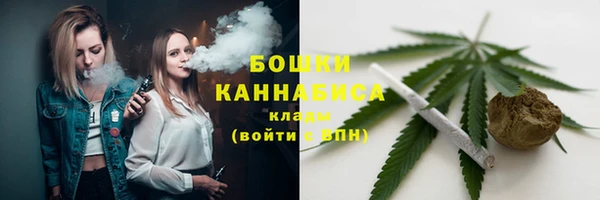 прущие грибы Пересвет