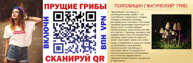 ссылка на мегу зеркало  Новомичуринск  Псилоцибиновые грибы Cubensis 